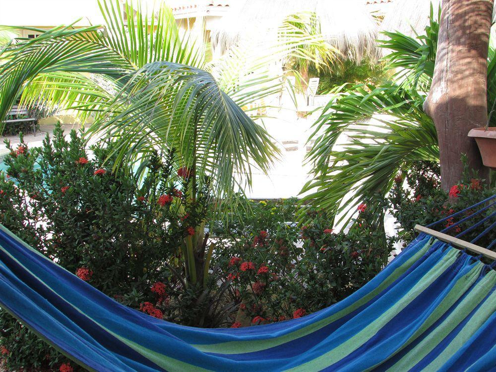 Aruba Tropic Apartments Noord Zewnętrze zdjęcie