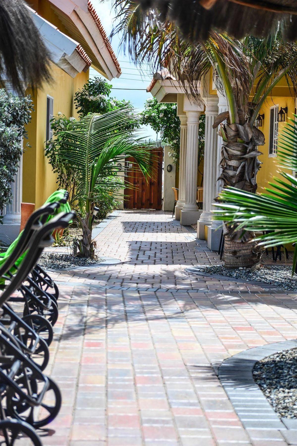 Aruba Tropic Apartments Noord Zewnętrze zdjęcie
